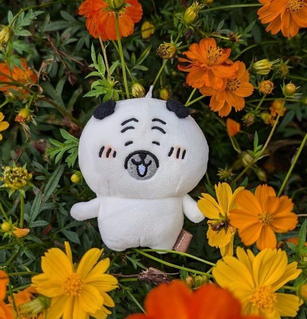 お花畑とパグさんのぬいぐるみ